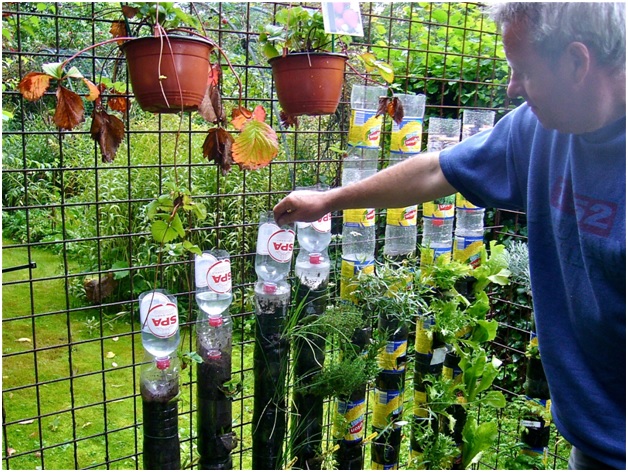 Grow plants with plastic bottle water reservoir