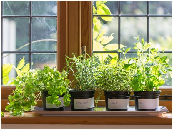 window sill planters