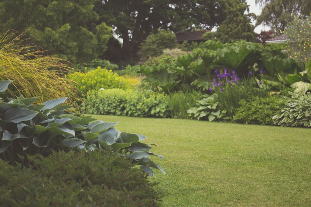 silent garden that whispers joys of silence