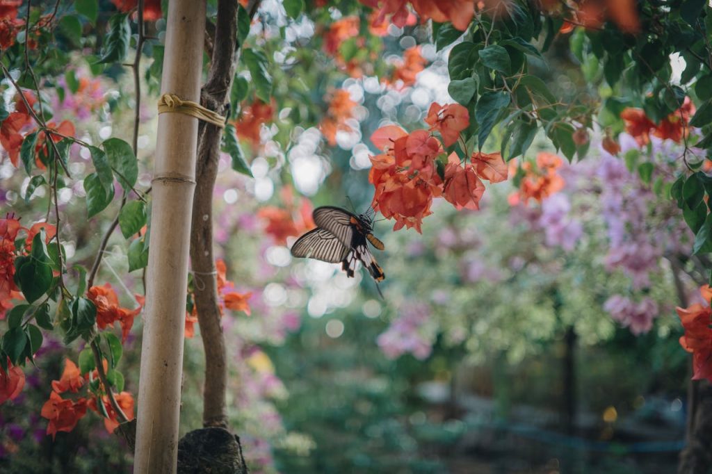 not all bugs are harmful!! bees and butterflies aid in development of a healthy bloom