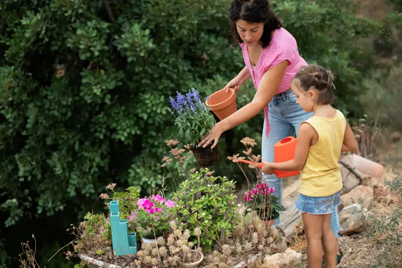 Take Care of Creeping Thyme Plants